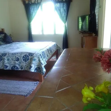 Finca Joer