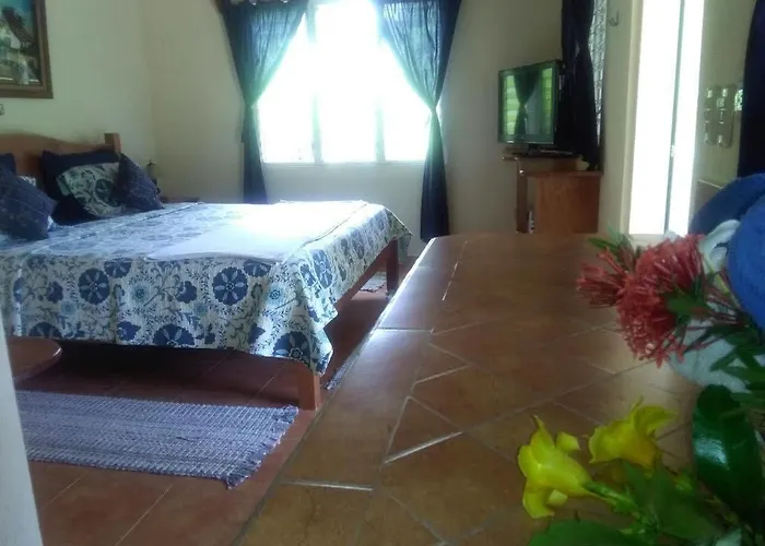 Guest house Finca Joer