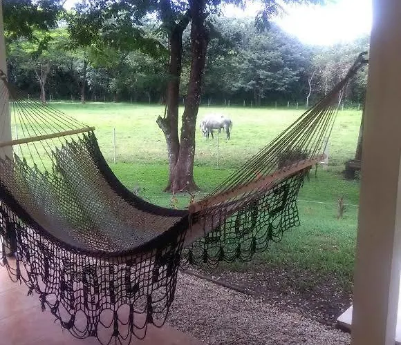 Guest house Finca Joer