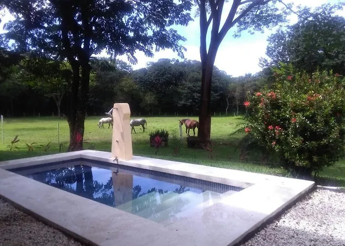 Finca Joer *
